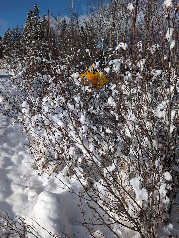 Environmental Consulting Company Fort St. John