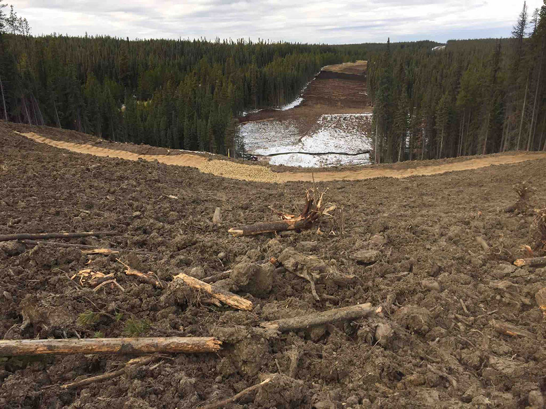 TC Energy – Deep Valley North Reclamation and Final Clean-up